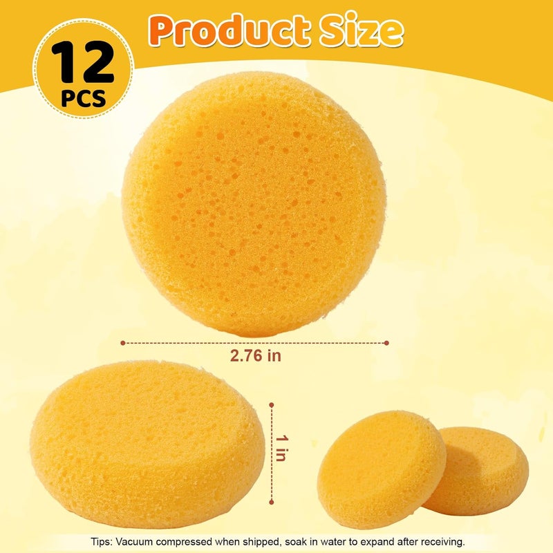 Clofiak 12Pcs Pottery Sponges, Elasticity Round Shoe Polish Sponge, Soft Yellow Clay Sponges for Kitchen Shoes Leather Care Painting Crafts - Image 4